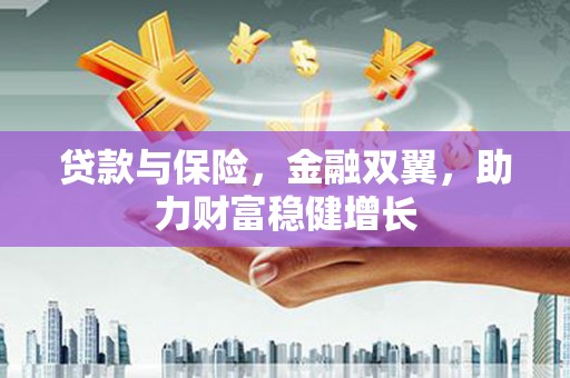 东川贷款与保险，金融双翼，助力财富稳健增长