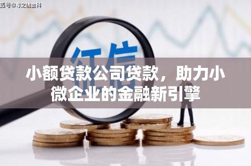 东川小额贷款公司贷款，助力小微企业的金融新引擎