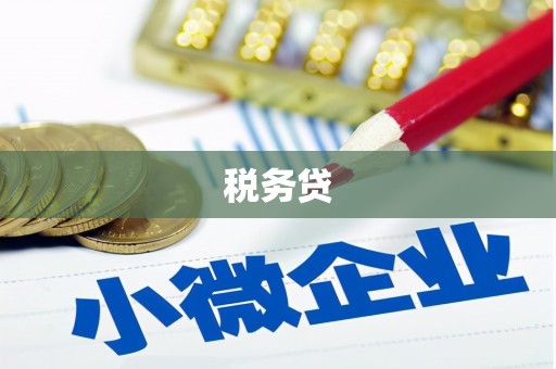 东川税务贷