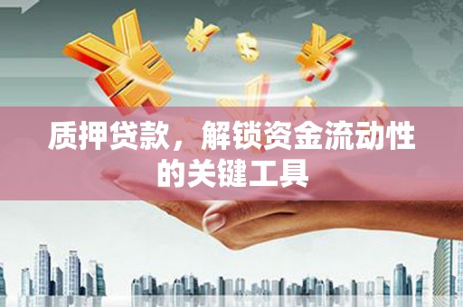 东川质押贷款，解锁资金流动性的关键工具