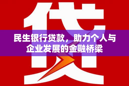 东川民生银行贷款，助力个人与企业发展的金融桥梁