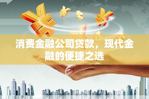 东川消费金融公司贷款，现代金融的便捷之选