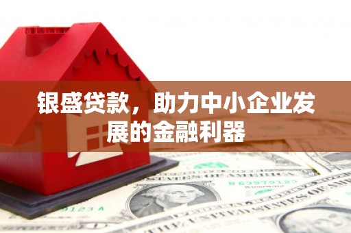 东川银盛贷款，助力中小企业发展的金融利器