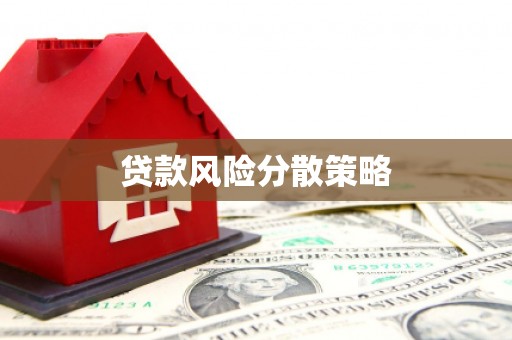 东川贷款风险分散策略