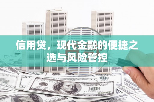 东川信用贷，现代金融的便捷之选与风险管控
