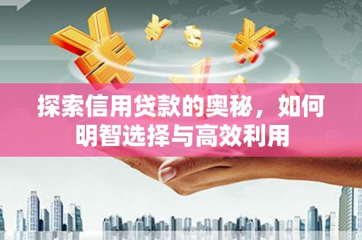 东川探索信用贷款的奥秘，如何明智选择与高效利用