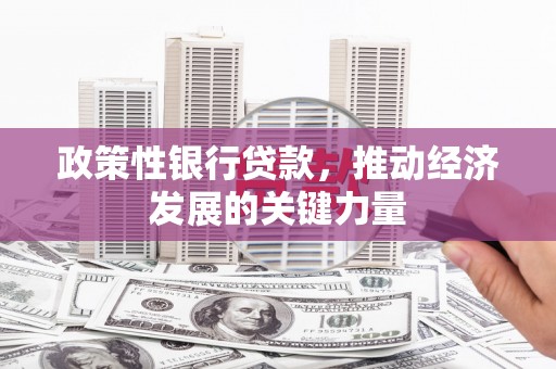 东川政策性银行贷款，推动经济发展的关键力量