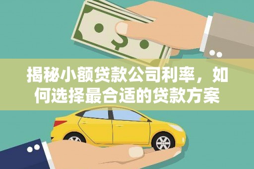 东川揭秘小额贷款公司利率，如何选择最合适的贷款方案