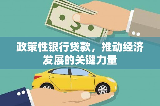 东川政策性银行贷款，推动经济发展的关键力量
