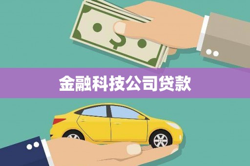 东川金融科技公司贷款