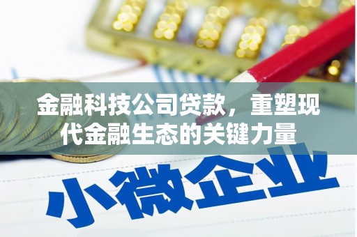 东川金融科技公司贷款，重塑现代金融生态的关键力量