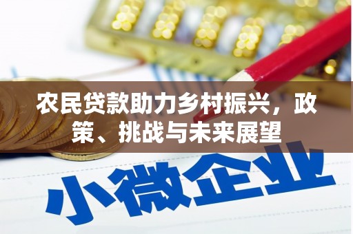 东川农民贷款助力乡村振兴，政策、挑战与未来展望