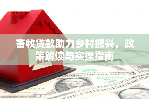 东川畜牧贷款助力乡村振兴，政策解读与实操指南