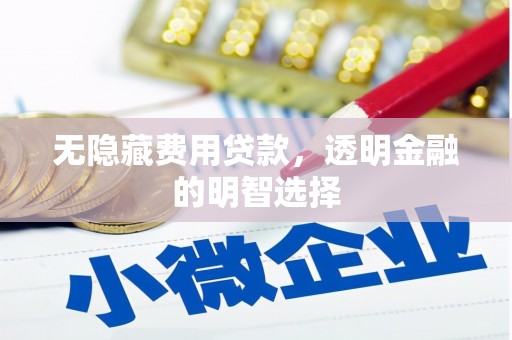 东川无隐藏费用贷款，透明金融的明智选择