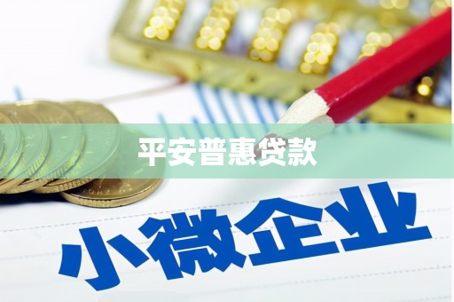 东川平安普惠贷款
