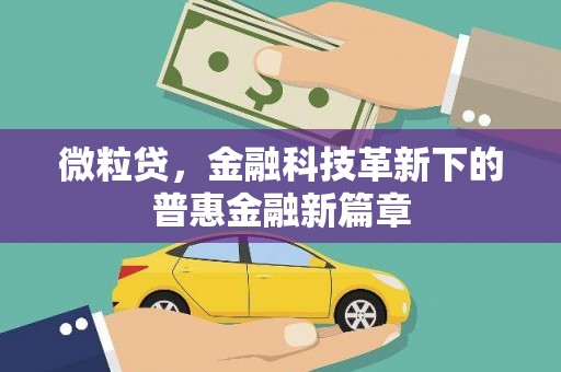 东川微粒贷，金融科技革新下的普惠金融新篇章