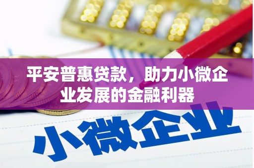 东川平安普惠贷款，助力小微企业发展的金融利器