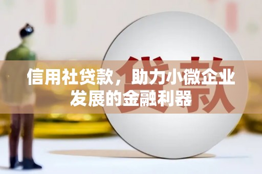 东川信用社贷款，助力小微企业发展的金融利器