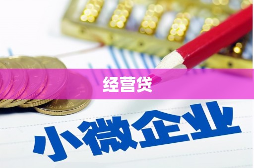 东川经营贷