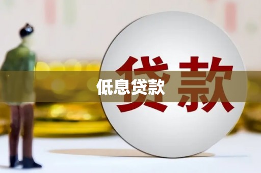 东川低息贷款