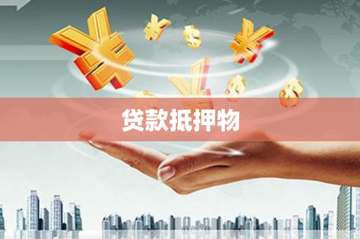 东川贷款抵押物