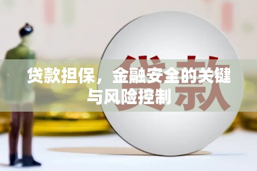 东川贷款担保，金融安全的关键与风险控制