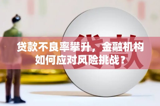 东川贷款不良率攀升，金融机构如何应对风险挑战？