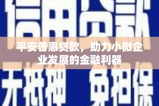 东川平安普惠贷款，助力小微企业发展的金融利器