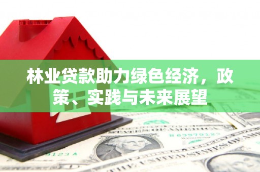 东川林业贷款助力绿色经济，政策、实践与未来展望