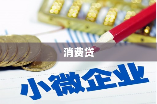 东川消费贷