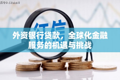 东川外资银行贷款，全球化金融服务的机遇与挑战