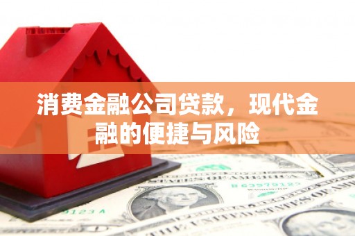 东川消费金融公司贷款，现代金融的便捷与风险