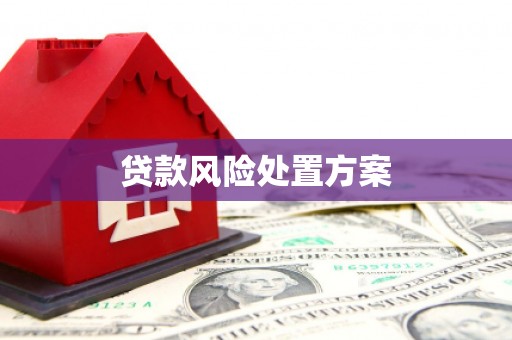 东川贷款风险处置方案