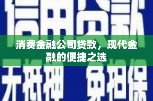 东川消费金融公司贷款，现代金融的便捷之选