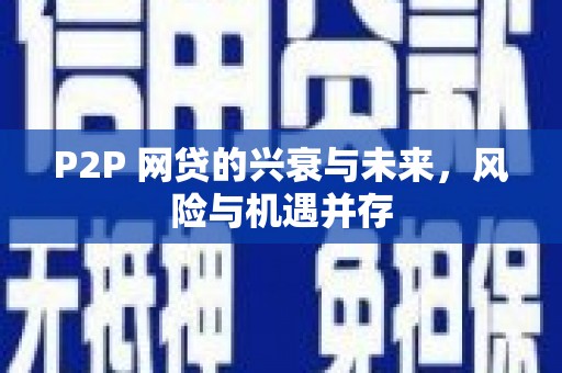 东川P2P 网贷的兴衰与未来，风险与机遇并存
