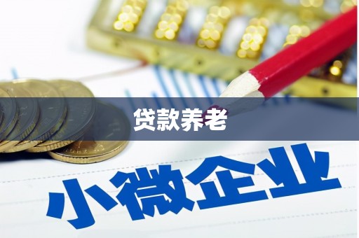 东川贷款养老