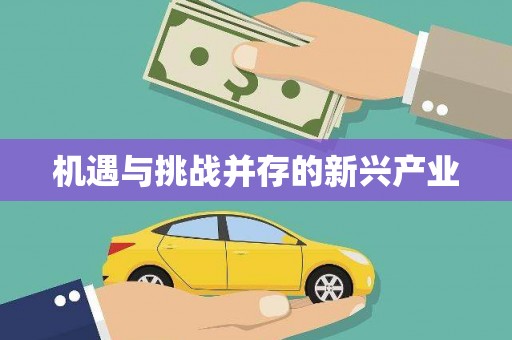 东川机遇与挑战并存的新兴产业