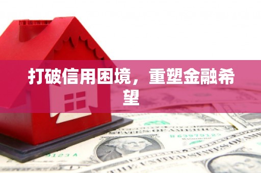 东川打破信用困境，重塑金融希望