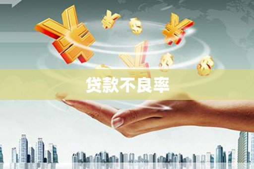 东川贷款不良率