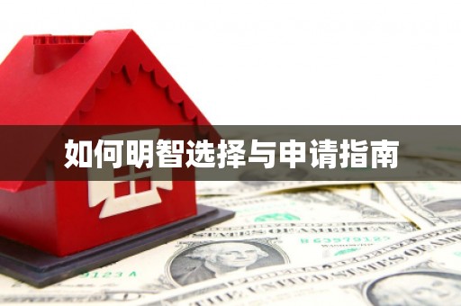 东川如何明智选择与申请指南