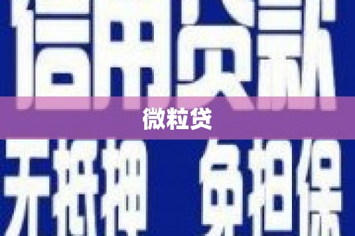 东川微粒贷