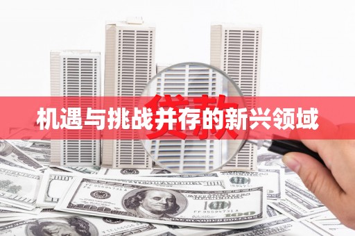 东川机遇与挑战并存的新兴领域