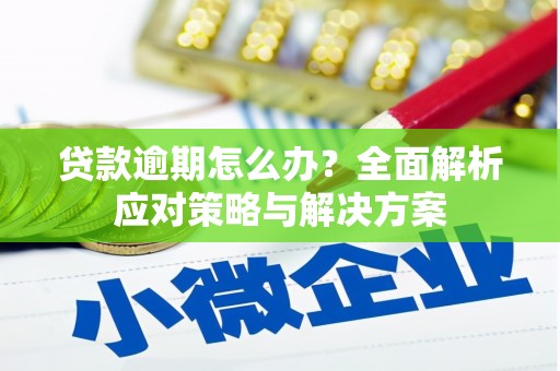 东川贷款逾期怎么办？全面解析应对策略与解决方案