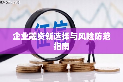 东川企业融资新选择与风险防范指南