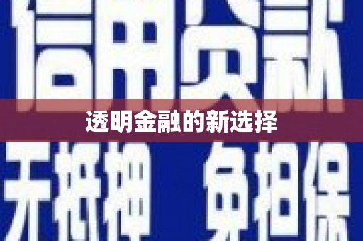 东川透明金融的新选择