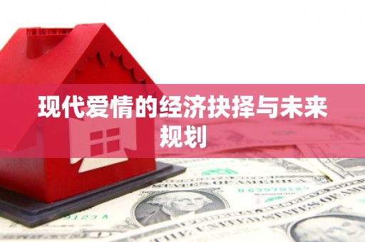 东川现代爱情的经济抉择与未来规划