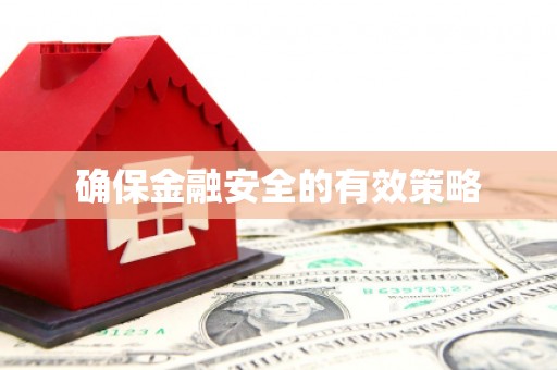 东川确保金融安全的有效策略