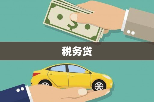 东川税务贷
