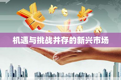 东川机遇与挑战并存的新兴市场