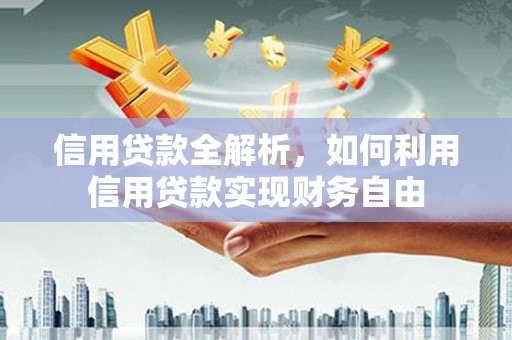 东川信用贷款全解析，如何利用信用贷款实现财务自由